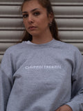 Chuffin Freezin Sweatshirt Hoodie or T-Shirt